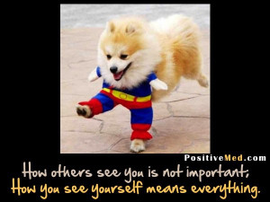 Funny Quotes Contact Us DMCA Notice