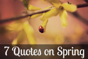 life you’re in, I hope these 7 Quotes on Spring will inspire you ...