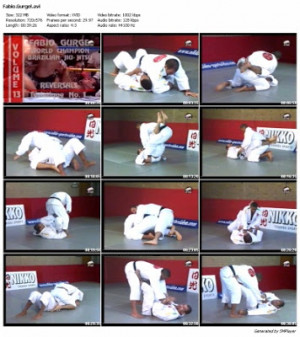 Jiu Jitsu The Best Damned Sport World Brazilian