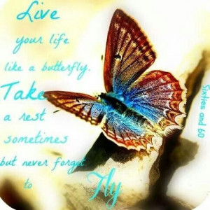 Live your life like a butterfly