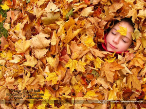 Autumn Leaves Desktop Wallpaper Background