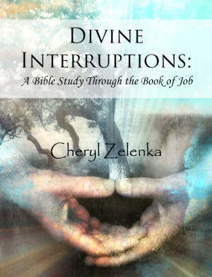 ... Review for Divine Interruptions: A Bible Study Through The Book Of Job
