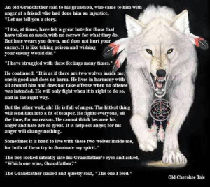 ... quotes native pride dreams catchers white wolf american people wolf