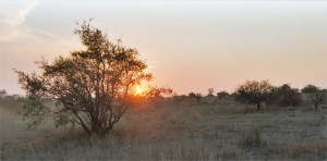 This page can't be printed !