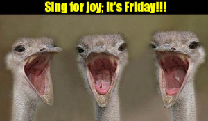 Friday Animals Sing for joy; it's friday