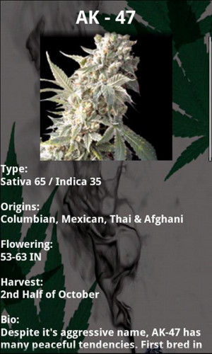 Marijuana Handbook Lite - Weed - screenshot
