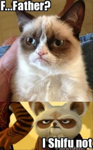 Grumpy Cat Pictures With Captions The best of grumpy cat 70