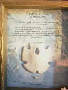 Quotes About Sand Dollars. QuotesGram