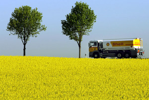 Sprit aus Raps oder Soja ist umstritten, weil er möglicherweise den ...