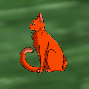 Firestar Warrior Cats Drawing