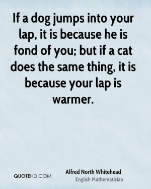 If a dog jumps into your lap, it is because he is fond of you; but if ...