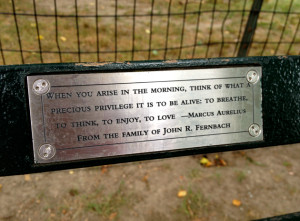 newly obsessed with the park benches. I especially loved the ...