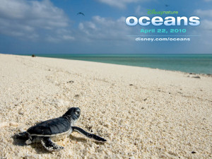 Disneynature Oceans Baby Sea Turtle
