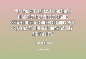 My favourite plant is the foxglove. I think they are a perfect balance ...