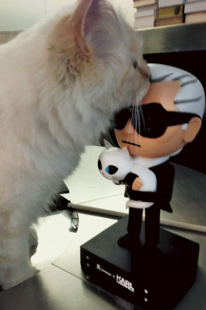 ... . She has become the most famous cat in the world.