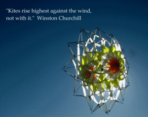 ... rise highest against the Wind,Not With It” ~ Inspirational Quote