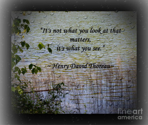 Thoreau Quote Photograph