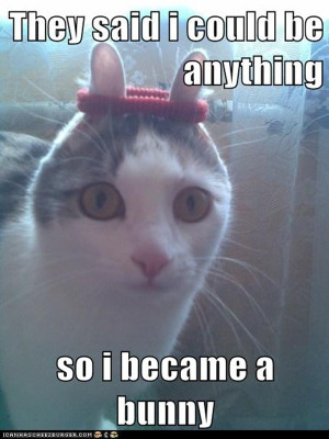 funny animal pictures, funny animal memes, they told me i could be ...