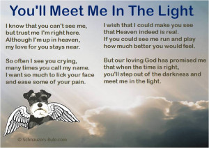 Condolences Poems Pet loss poem you'll meet me