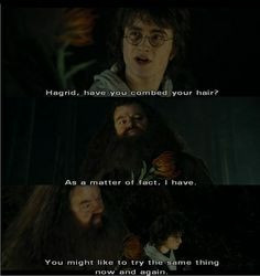 harry potter and hagrid