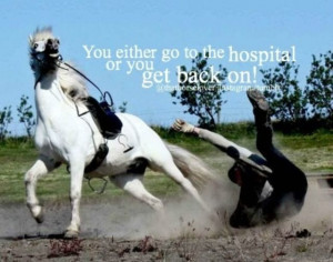 Riding / Falling / QuotesFall Off Hors Quotes, Horse Riding, Quotes ...
