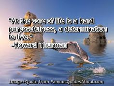 ... is a hard purposefulness, a determination to live.