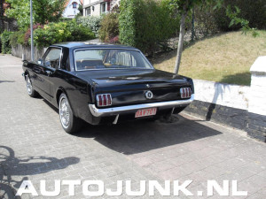 Old Mustang Rear Home Pictures