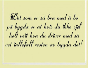 Norwegian Vinyl wall quotes decals and sayings Det som er så bra med ...