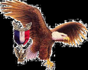 Boy Scout Eagle
