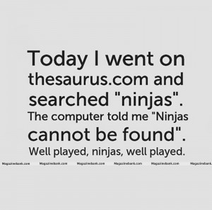 Today I Went On Thesaurus .Com And Searched 'Ninjas'.