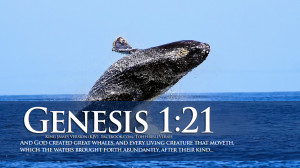 Bible Verses On Creation Genesis 1:21 Jumping Whale HD Wallpaper