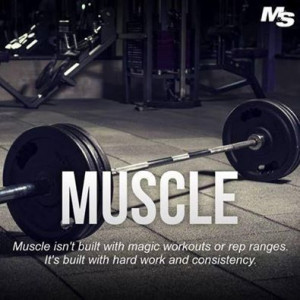 Hard work + Consistency = Muscle
