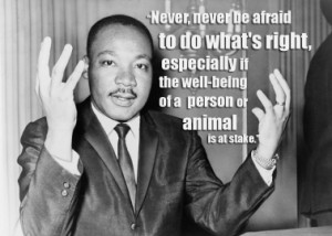 17 Quotes From Famous Thinkers Who Got It Right About Animals