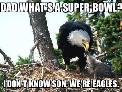 Meme – Dad what’s a super bowl? I don’t know son we’re eagles.