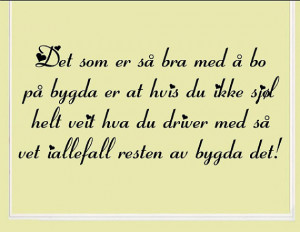 Norwegian Vinyl wall quotes decals and sayings Det som er så bra med ...