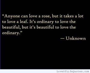 Loving-the-ordinary-and-the-beautiful.jpg