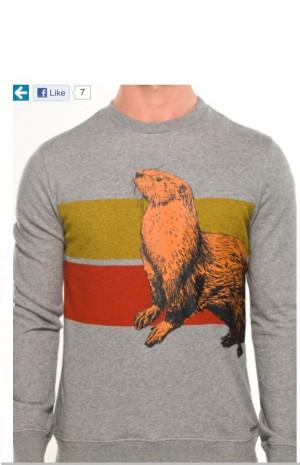 Toddland Kirk Otter Sweater(think Benji from Pitch Perfect!) OH MY ...
