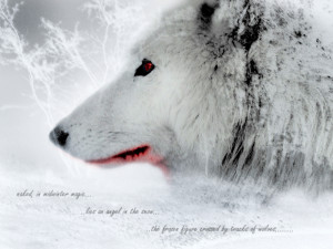 Wolf art spirit mythical black wild animal HD Wallpaper