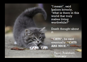 cutecat #quotecats make living worthwhile