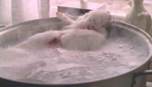 bunny boiler is a pejorative term for an obsessive and dangerous ...