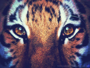 AUNQUE NI SIQUIERA EXISTAS Y NO SEPAS CUANTO VALES.