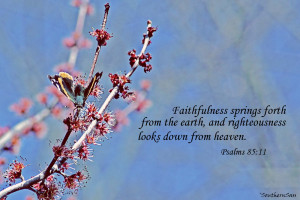 Spring butterfly with scripture bible verse HD Wallpaper