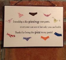 ... sign friend gift bbq present home kitchen sweet funny knickers