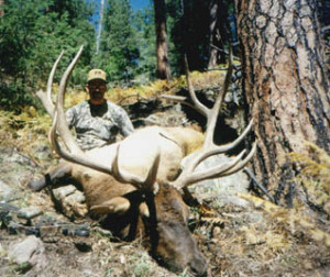 We believe your elk hunt in Montana or Idaho should be booked with our