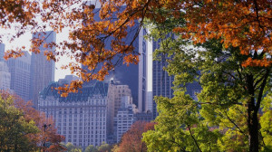 New York Autumn Image