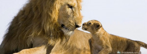lioness and her cub facebook covers jpg i