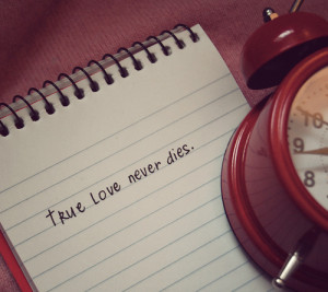 love, message, photography, text, true love never dies