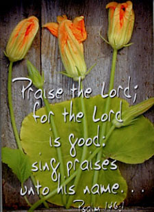 Funny Quotes Contact Dmca...