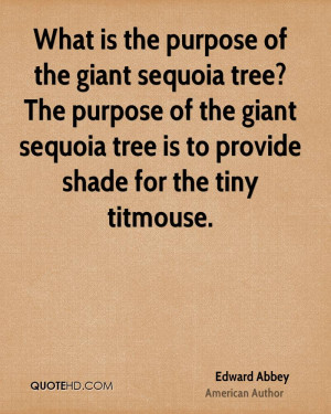 What is the purpose of the giant sequoia tree? The purpose of the ...