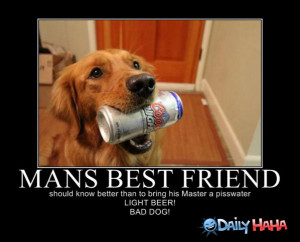 mans best friend doesn t bring man crappy watered down beer